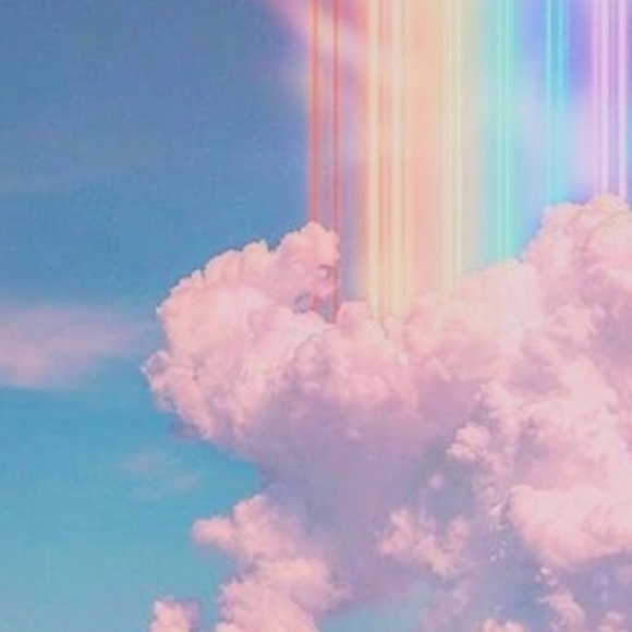 Meet your Posher, Roxi - Picture 1 of 1